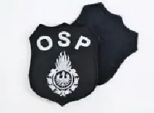 Emblemat naramienny OSP - wzór Ognik